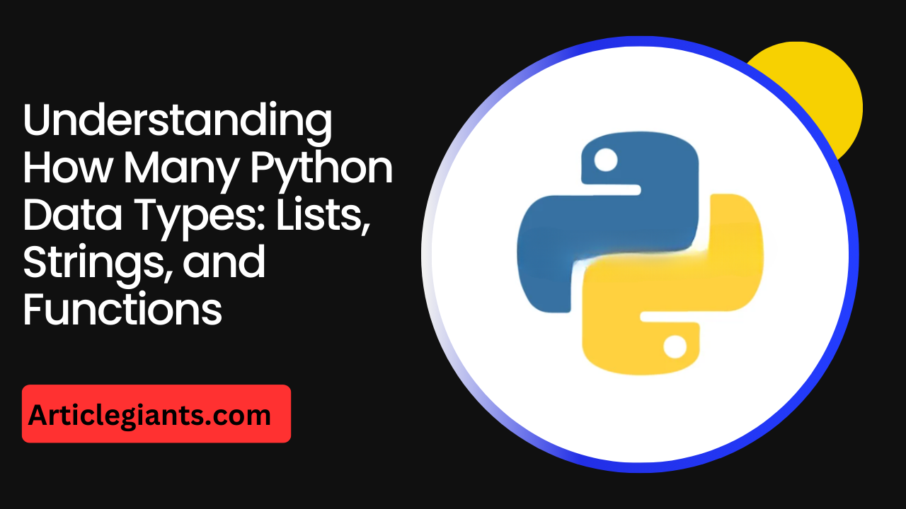 Understanding How Many Python Data Types Lists Strings, and Functions